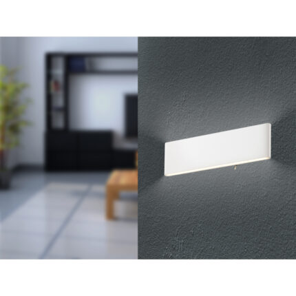 siegfried 41751 12w g22595 2