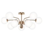 MOD221PL 10G on w 1 low