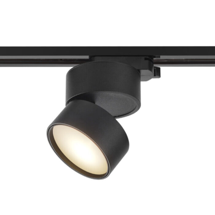 LED siinivalgusti Must 4000K Maytoni TR007 1 12W4K B (1)