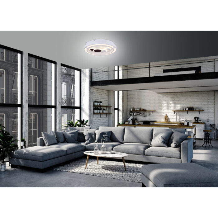 kolli 48405 50 g24504 4