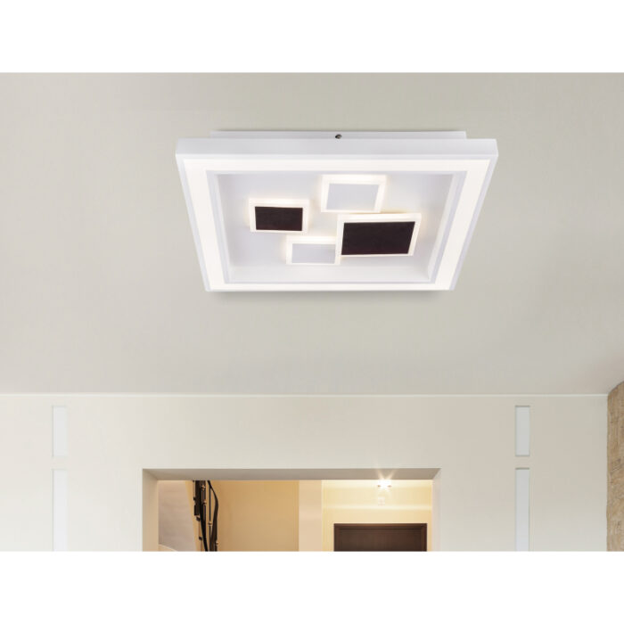 nolo 48405 50q g25131 2