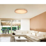 rainer 41745 60 g25029 2