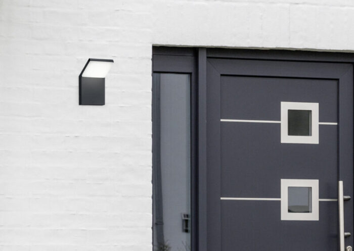 Moderne graue Haustür und Glas