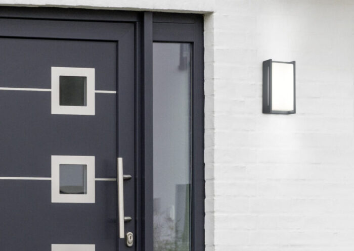 Moderne graue Haustür und Glas