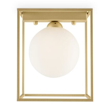 MOD145CL 01G on w 2.jpeg