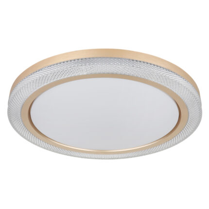 bolly 41372 24 g28165 2