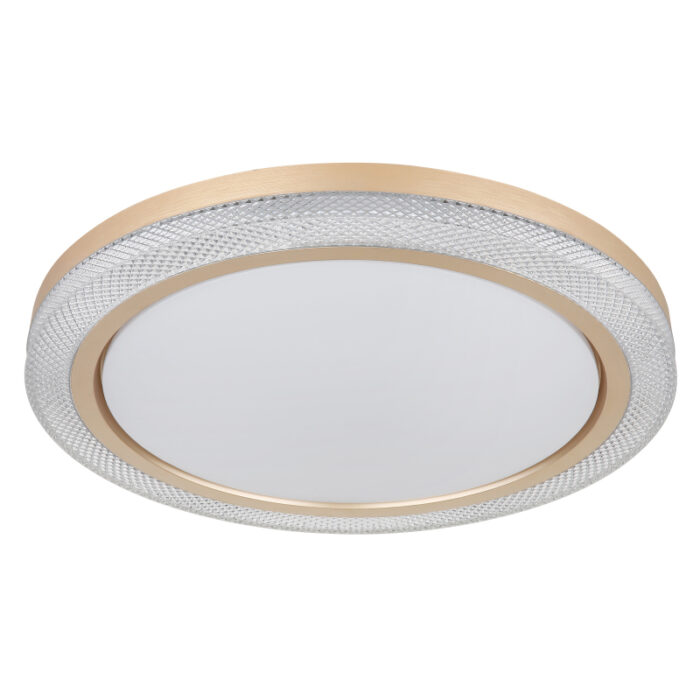 bolly 41372 24 g28165 2