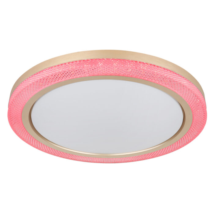 bolly 41372 24 g28165 4