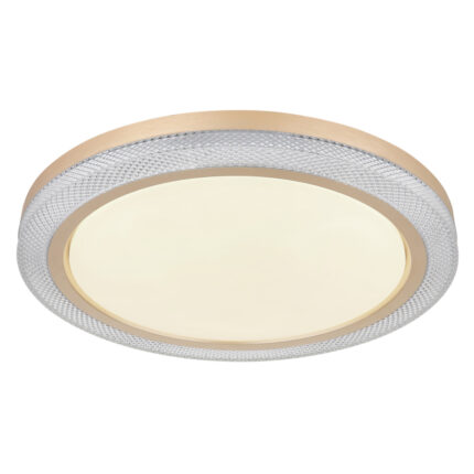 bolly 41372 24 g28165