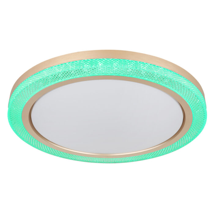 bolly 41372 24 g28165 5