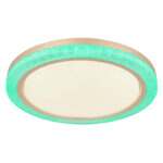 bolly 41372 24 g28165 6