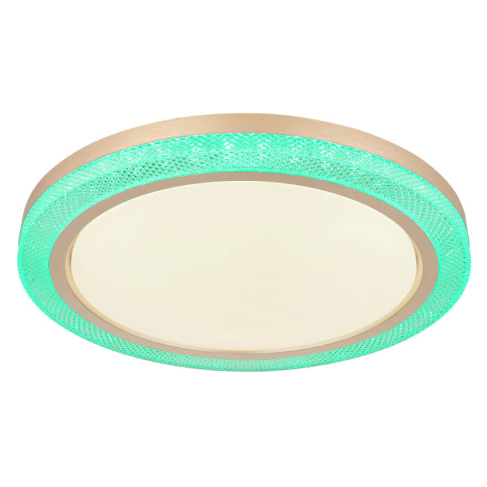 bolly 41372 24 g28165 6