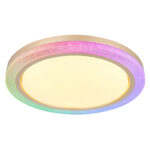 bolly 41372 24 g28165 8