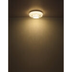 mucky 67162 50d g28432 6