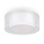 MOD613CL 03W1 on w standard 1.jpeg