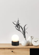 Minimalist concept of living room interior at elegant apartment