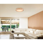 rainer 41745 24 g25027 2