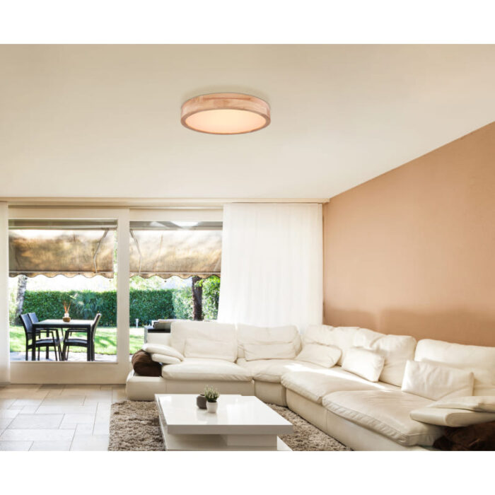 rainer 41745 24 g25027 2