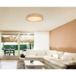 rainer 41745 48 g25028 2