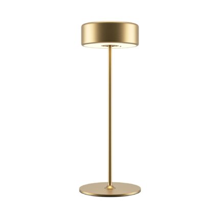 RENDER MOD229TL L3G3K2 on w standard.jpeg